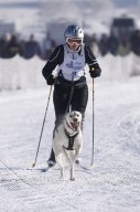 Lenk 2013